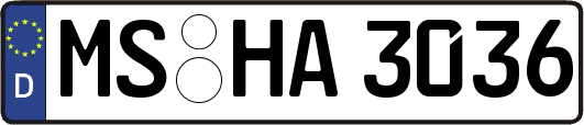 MS-HA3036