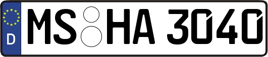 MS-HA3040