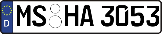 MS-HA3053