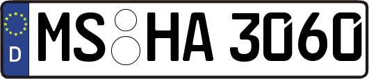 MS-HA3060