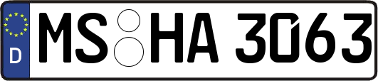 MS-HA3063