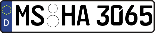 MS-HA3065