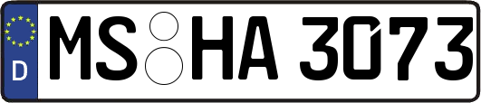 MS-HA3073