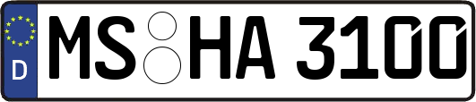 MS-HA3100