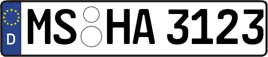 MS-HA3123
