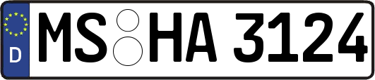 MS-HA3124
