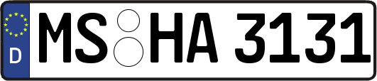 MS-HA3131
