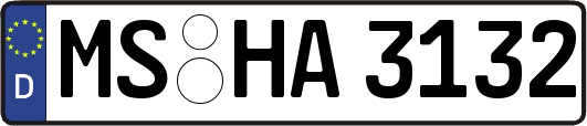 MS-HA3132
