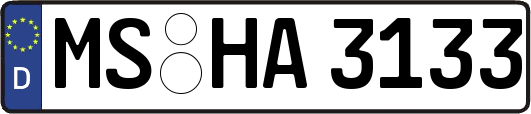 MS-HA3133