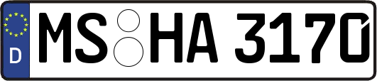 MS-HA3170