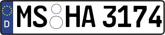 MS-HA3174