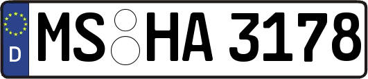 MS-HA3178