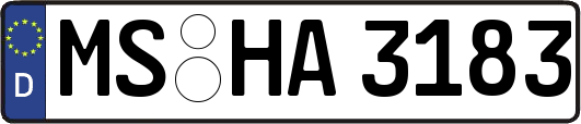 MS-HA3183