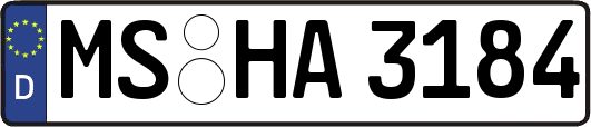 MS-HA3184