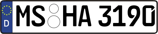 MS-HA3190