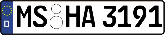MS-HA3191