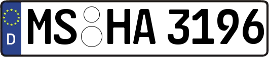 MS-HA3196