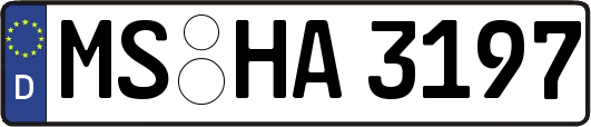 MS-HA3197