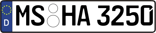 MS-HA3250