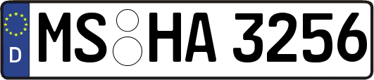 MS-HA3256