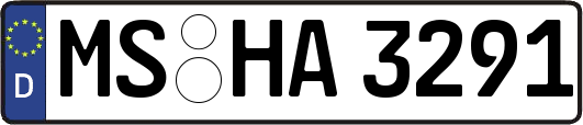 MS-HA3291