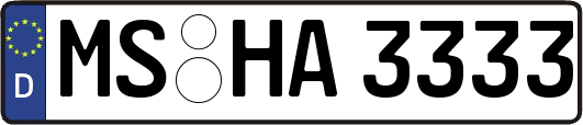 MS-HA3333