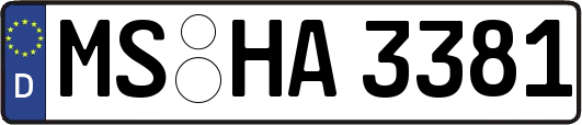 MS-HA3381