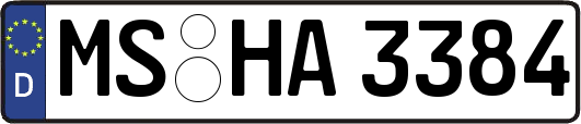 MS-HA3384