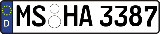 MS-HA3387