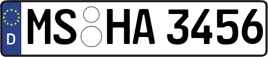 MS-HA3456