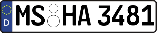 MS-HA3481