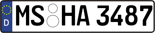 MS-HA3487