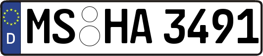 MS-HA3491