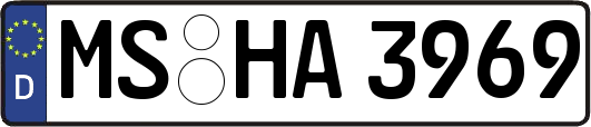 MS-HA3969