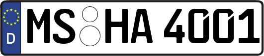 MS-HA4001