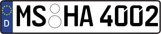 MS-HA4002
