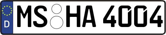 MS-HA4004