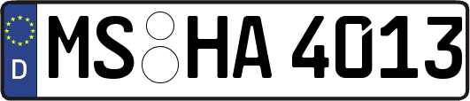 MS-HA4013