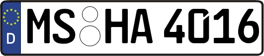 MS-HA4016