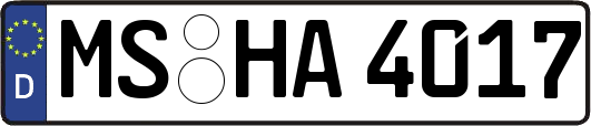 MS-HA4017