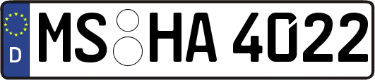 MS-HA4022