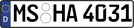 MS-HA4031