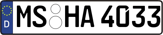 MS-HA4033