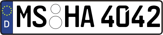 MS-HA4042