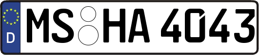 MS-HA4043