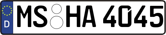 MS-HA4045