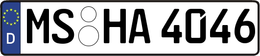 MS-HA4046