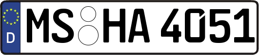MS-HA4051