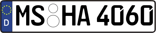 MS-HA4060