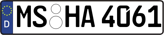 MS-HA4061